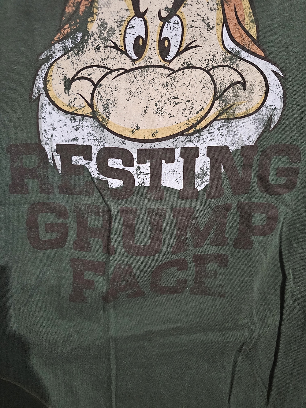 Disney Men's Green 'Resting Grump Face' Short Sleeve Tee